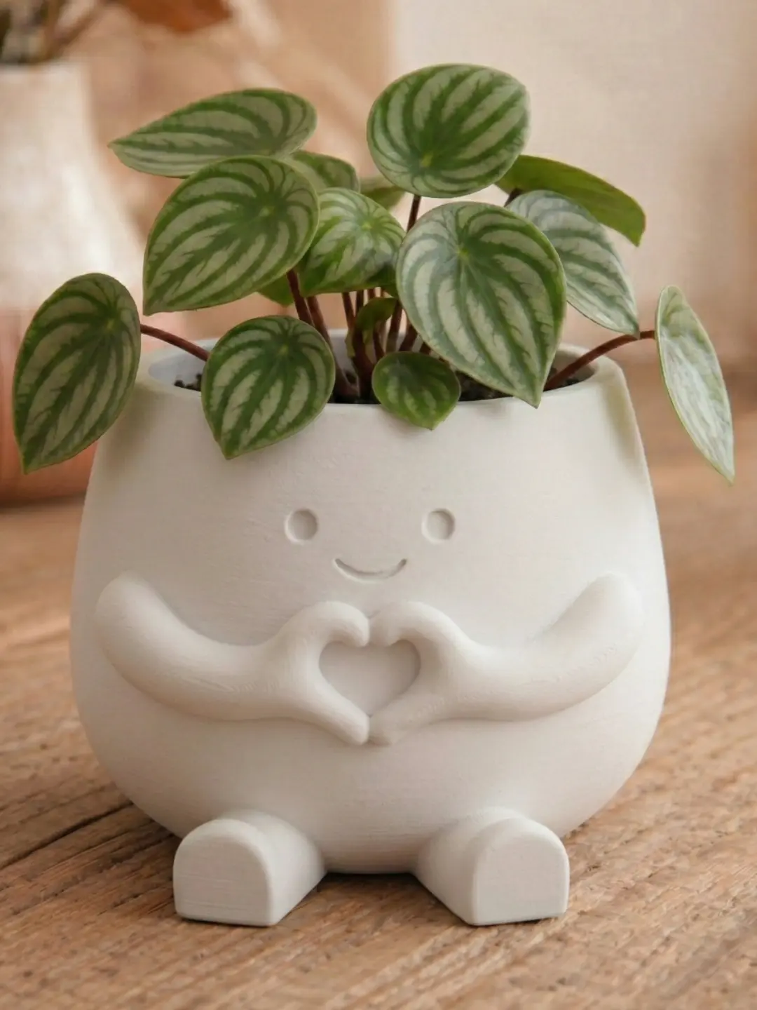 Hearty Pot Decoração Fofa de Mãos de Coração - Imagem 2