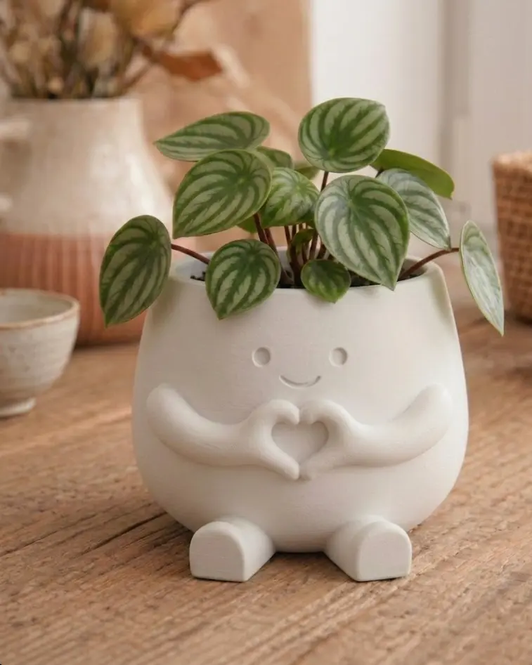 Hearty Pot Decoração Fofa de Mãos de Coração - Imagem 3