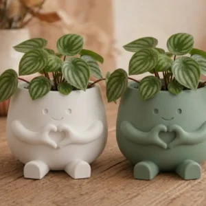 Hearty Pot Decoração Fofa de Mãos de Coração