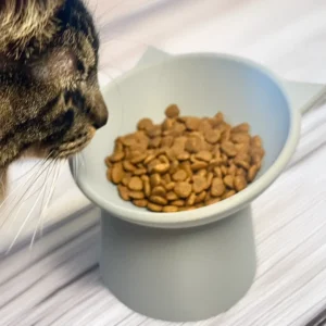 Tigela de Gato Elevada com Design Inclinado