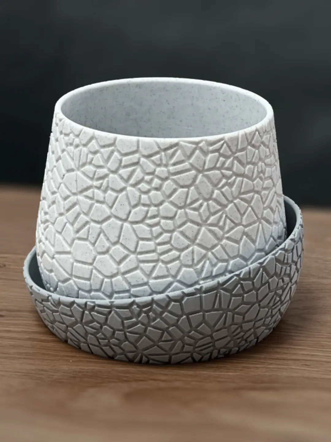Vaso de Planta Fractura - Imagem 2