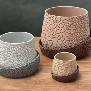 Vaso de Planta Fractura