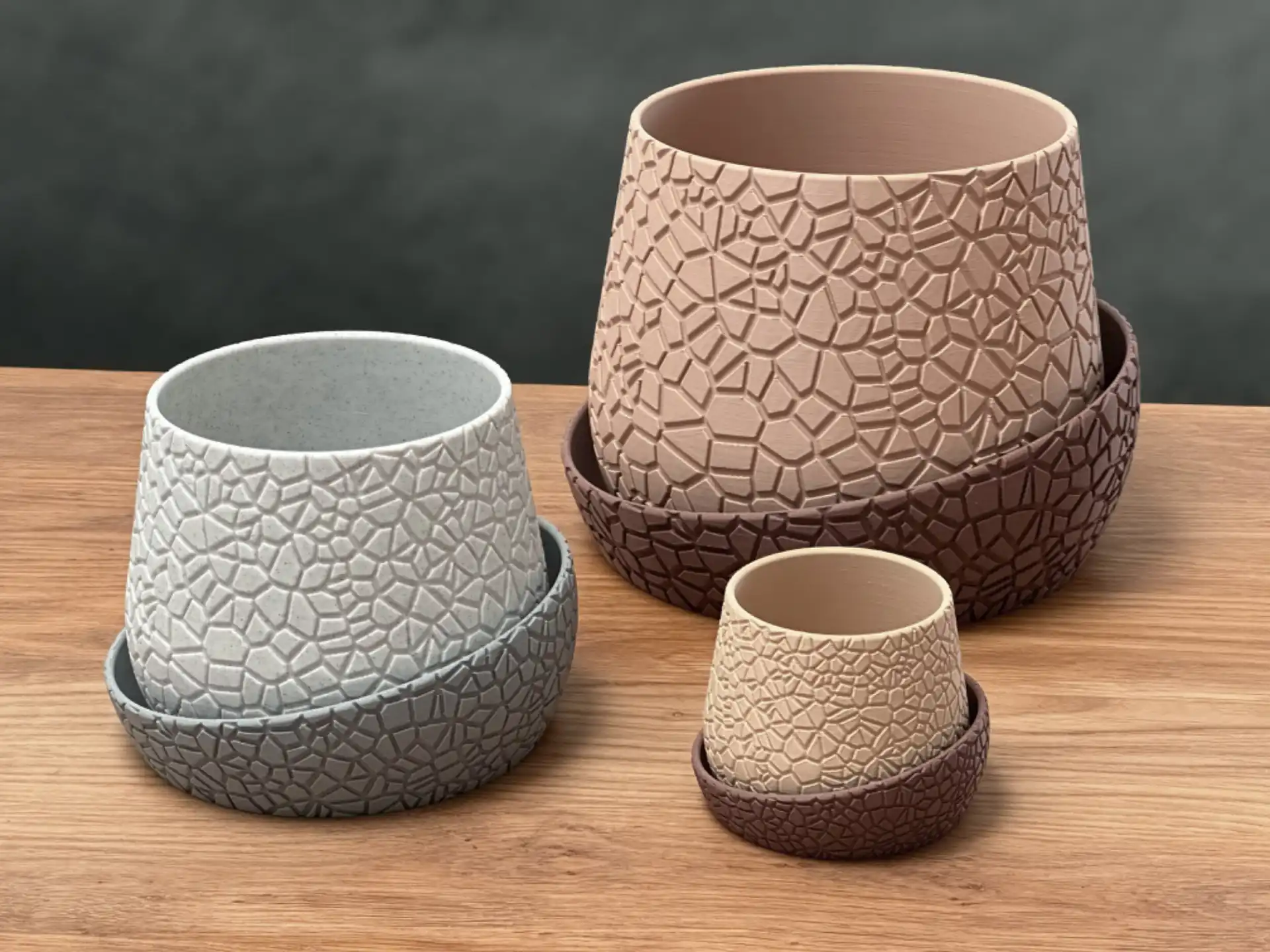 Vaso de Planta Fractura
