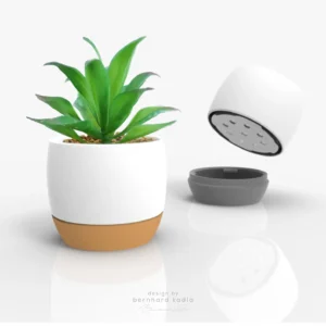 Vaso de Planta Kadla