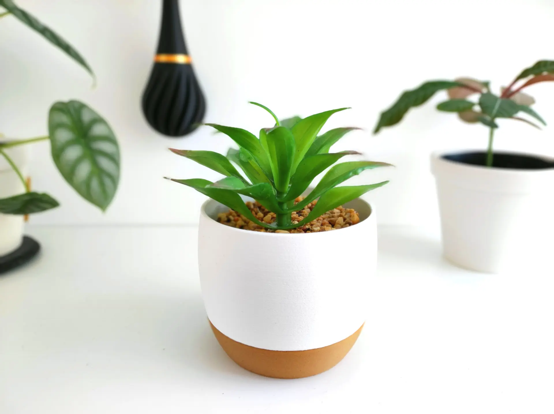 Vaso de Planta Kadla - Imagem 2