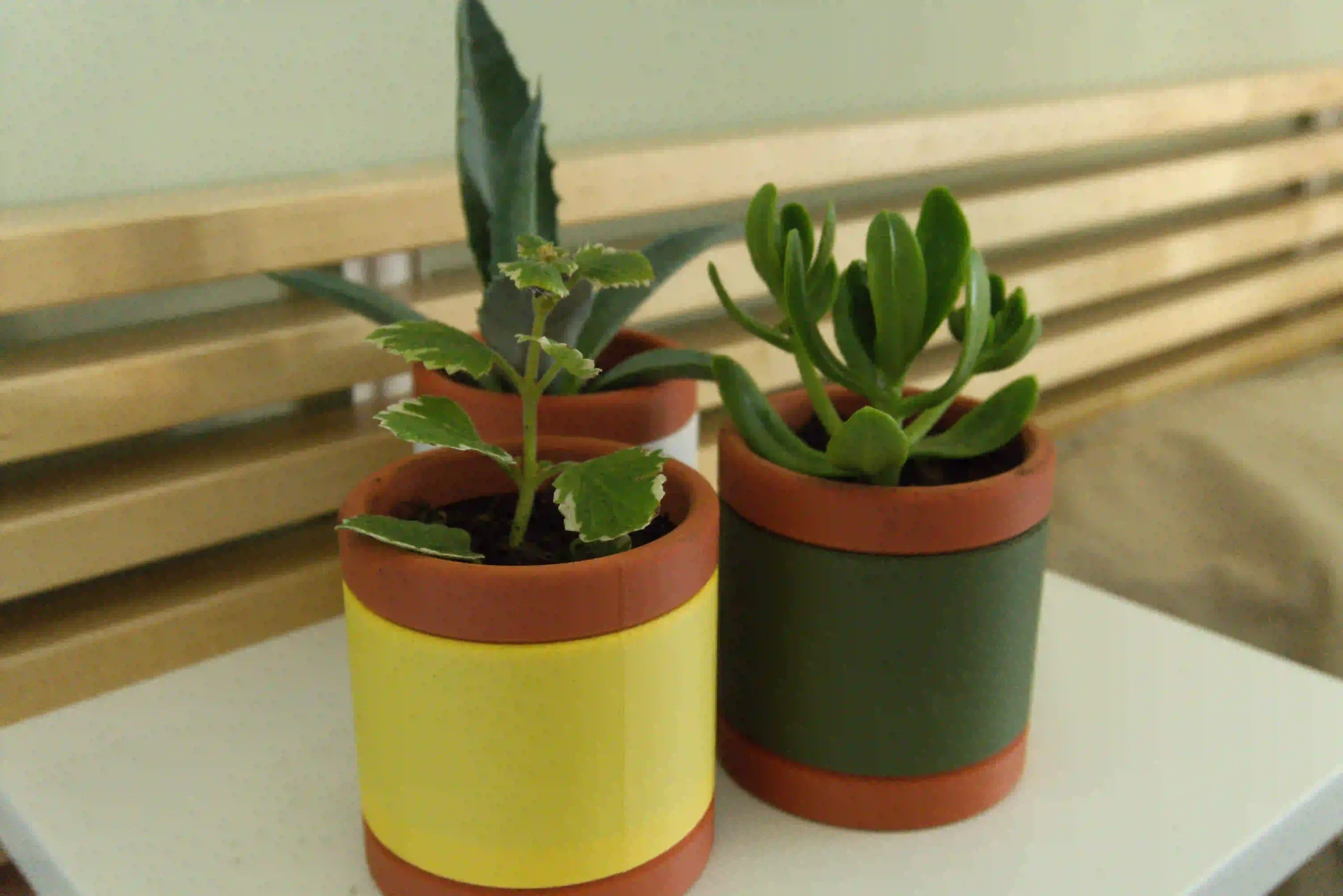 Vaso de Planta Decorativo - Imagem 4